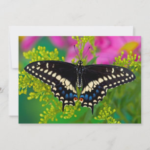 Carte De Remerciements Un papillon swallowtail atterrissant