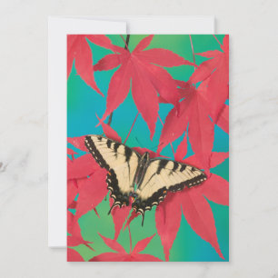 Carte De Remerciements Un papillon swallowtail tigre canadien