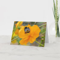 Une note de remerciement