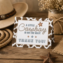 Une petite cow-boy est en route Baby Shower