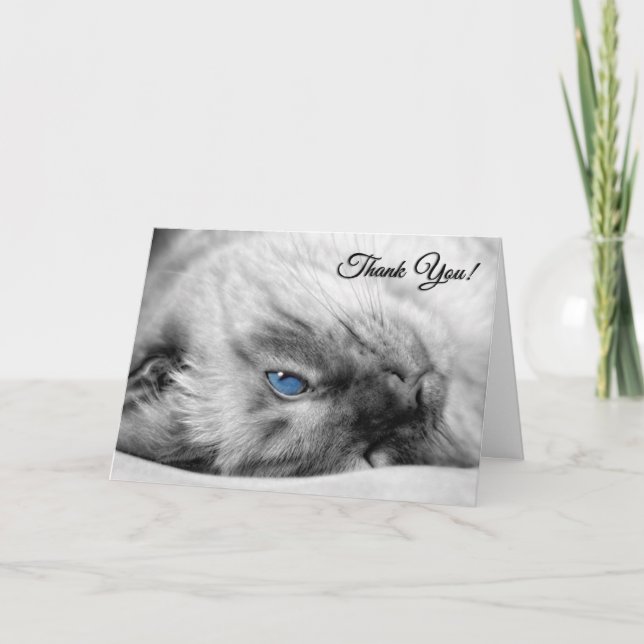 Carte De Remerciements Vétérinaire du Chat Siamese (Devant)