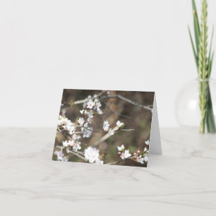 Carte De Remerciements Vide cerise en fleur
