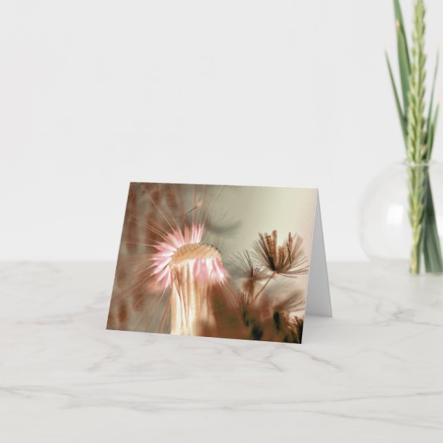 Carte de remerciements vierge Dandelion (Devant)