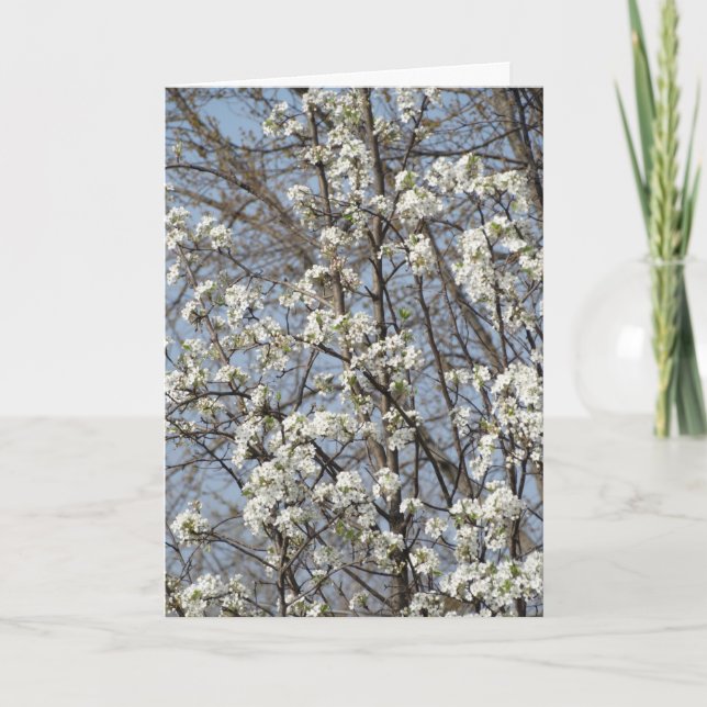 Carte De Remerciements Vieux Ami à travers les saisons de la vie (Devant)