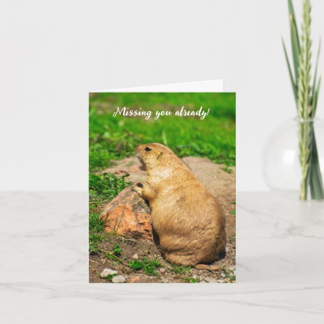 Carte De Remerciements Vous avez déjà manqué ! Chien des Prairies à queue (Devant)