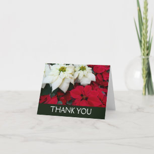 Carte De Remerciements White and Red Poinsettias