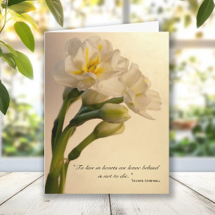 Carte De Remerciements White Double Daffodils Sympathy Thank You