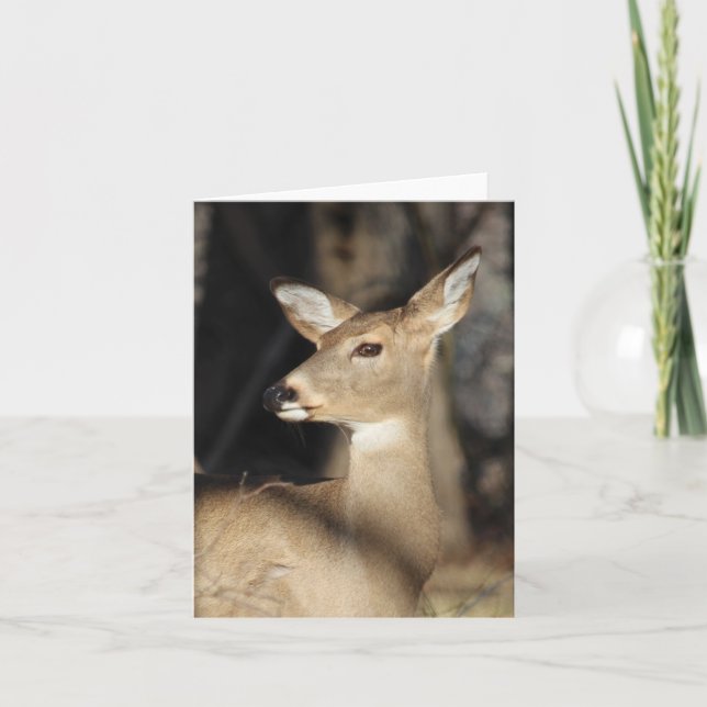 Carte De Remerciements Whitetail Deer Notecard - Blank Inside (Devant)