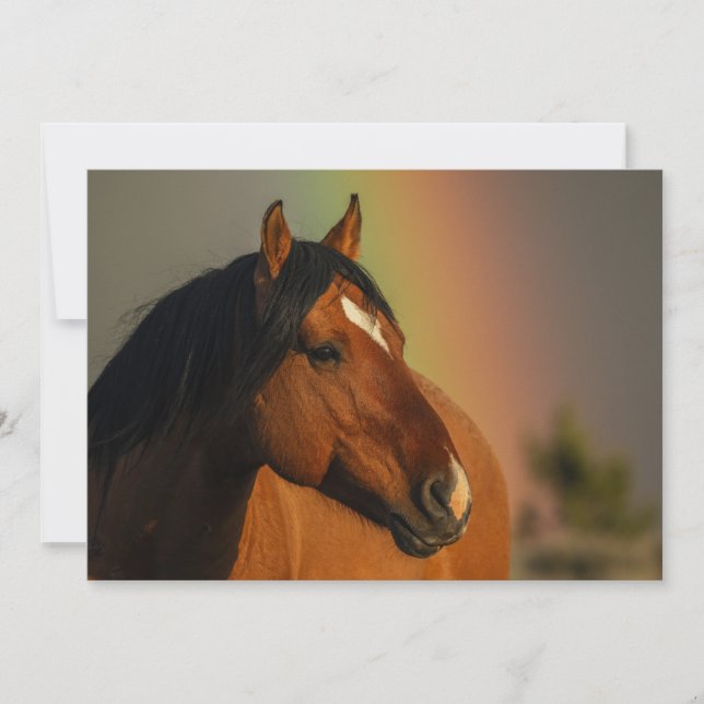 Carte De Remerciements Wild Stallion, Golden Light and Rainbow (Devant)