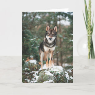 Carte De Remerciements Wolfdog