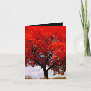 Carte De Remerciements Y'a de l'amour dans l'air ...