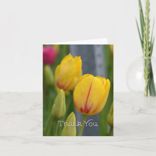 Carte De Remerciements Yellow and Red Tulips
