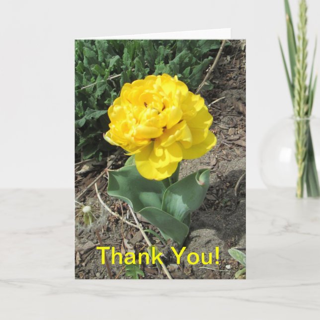 Carte De Remerciements Yellow Tulip Thank (Devant)