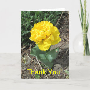 Carte De Remerciements Yellow Tulip Thank