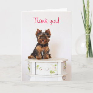 Carte De Remerciements Yorkshire Terrier