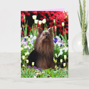 Carte De Remerciements Yorkshire Terrier et fleurs
