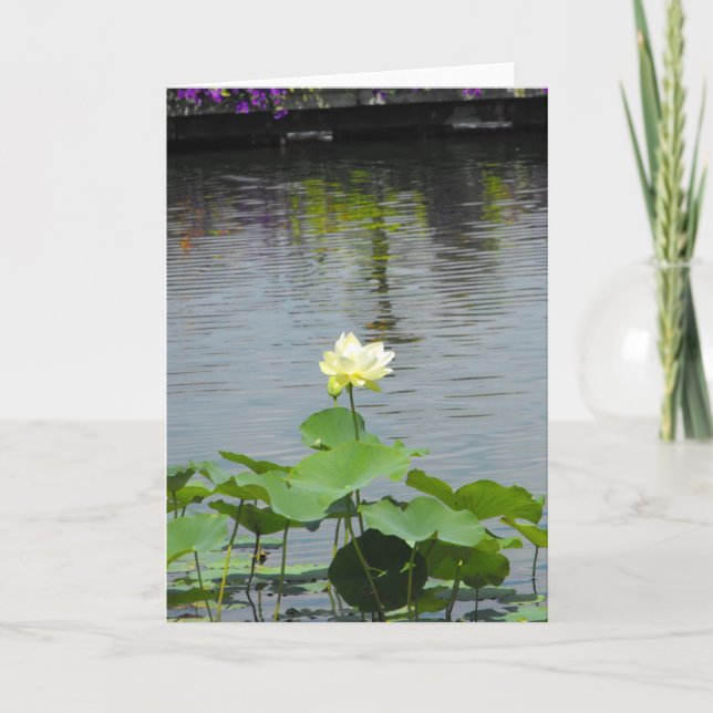 Carte De Remerciements Your Message ~ 26 (Devant)