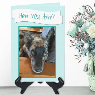 Carte de remplacement de photo de chien mignon aux