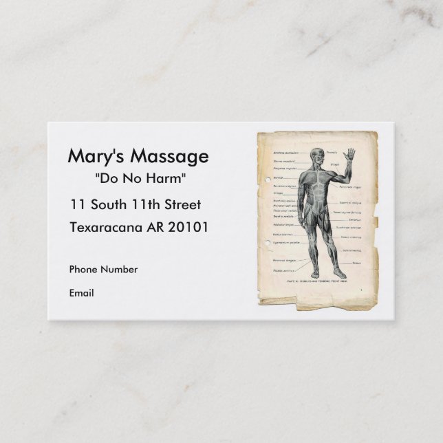 Carte De Rendez-vous Anatomie antérieure (Devant)