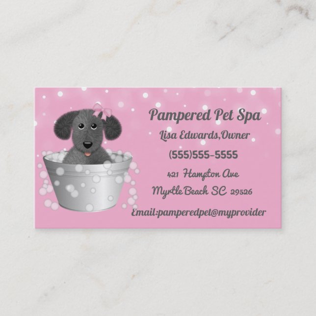 Carte De Rendez-vous Chien Grooming Chien Spa (Devant)