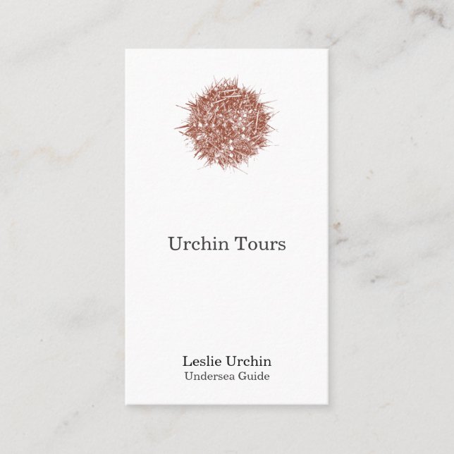 Carte De Rendez-vous Oursin chilien d'impression typographique (albus (Devant)