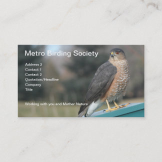 Carte De Rendez-vous Photo Cooper's Hawk