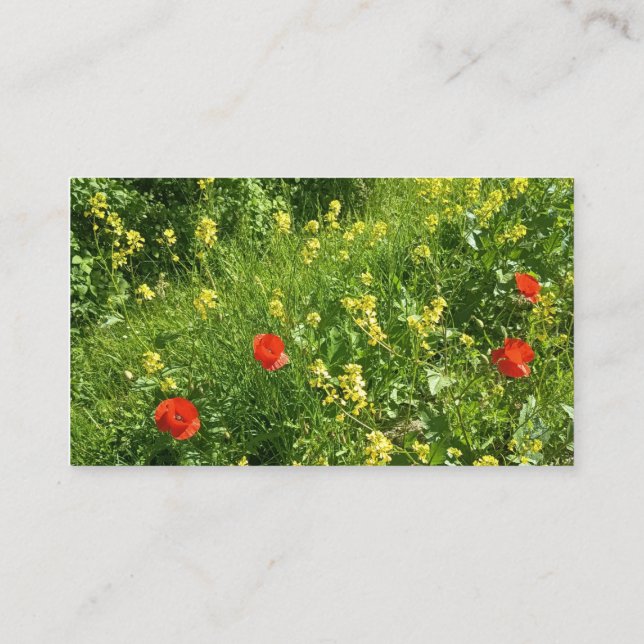 Carte de rendez-vous Prairie de fleurs sauvages ro (Dos)