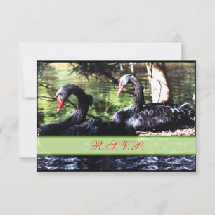 Carte de réponse Mates for Life Black Swans