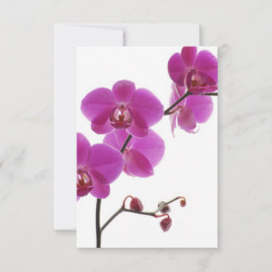 Carte de réponse pour invitation de mariage à l'or