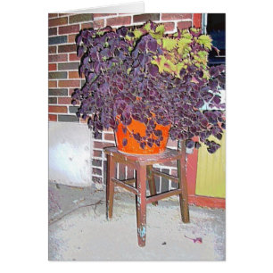 CARTE DE REPRÉSENTATION : Chaire à Linden Hills_Ca