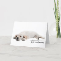 Carte de rétablissement chiot Golden retriever