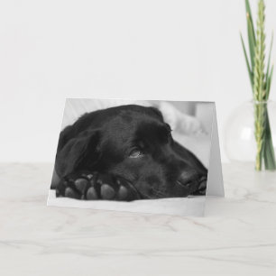 Carte de rétablissement Labrador noir
