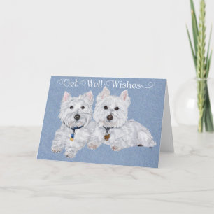 Carte de rétablissement pour Westie