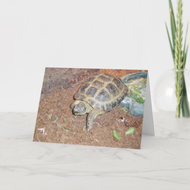 Carte de rétablissement "Torture" (Devant)