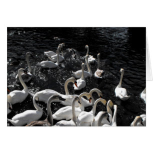 Carte de retrait des cygnes