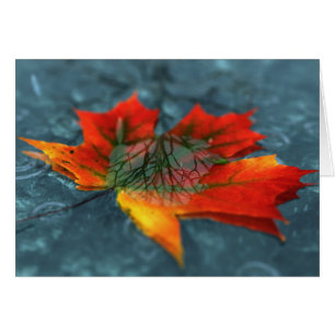 Carte de rétroreflection