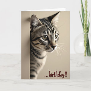 Carte de révélation d'anniversaire de chat rayé