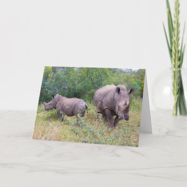 Carte de rhinocéros mère et enfant (Devant)