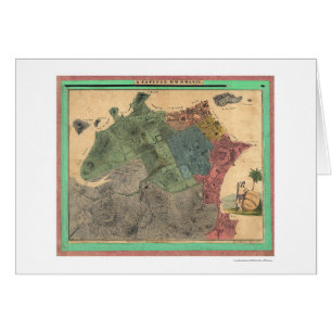Carte de Rio de Janeiro par Michellerie 1831