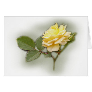 Carte de rose jaune