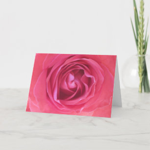Carte de Rose Rose Joliment