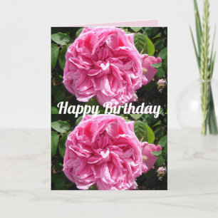 Carte de roses florales de fleurs roses vintage