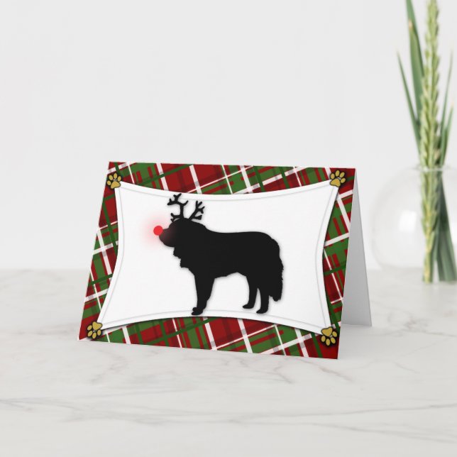 Carte de Saint-Bernard-Reindeer (Devant)