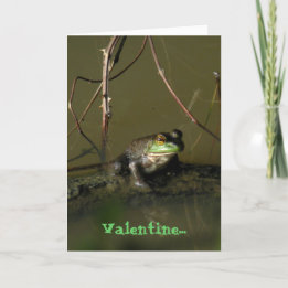 Carte de Saint-Valentin amusante pour la grenouill