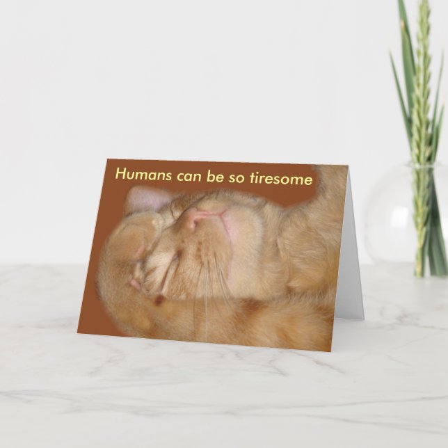 Carte de Saint Valentin Chat Sarcastique (Devant)