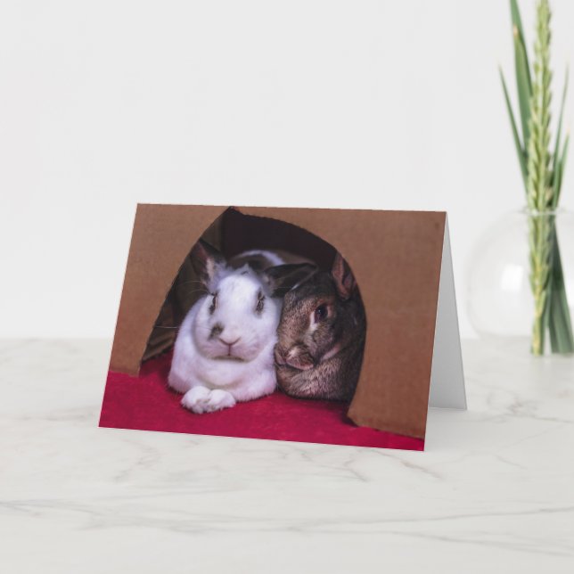 Carte de Saint-Valentin de BunnyLuv (de lui) (Devant)