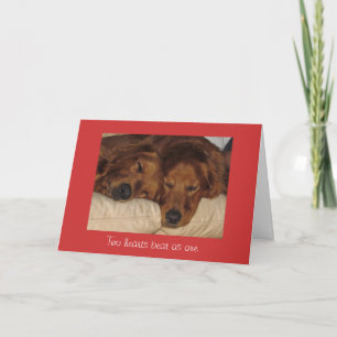 Carte de Saint-Valentin de golden retriever, deux