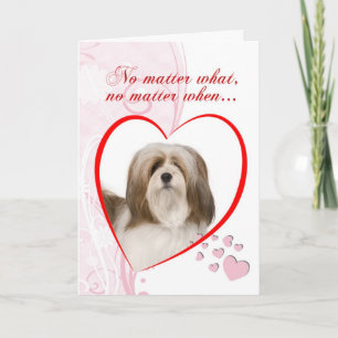 Carte de Saint Valentin Lhasa Apso