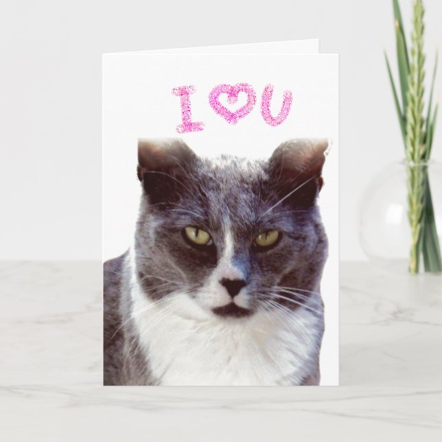 Carte de Saint-Valentin pour votre chat Je t'aime (Devant)