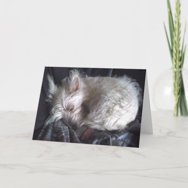 Carte de salut à l'ours à sucre (Devant)